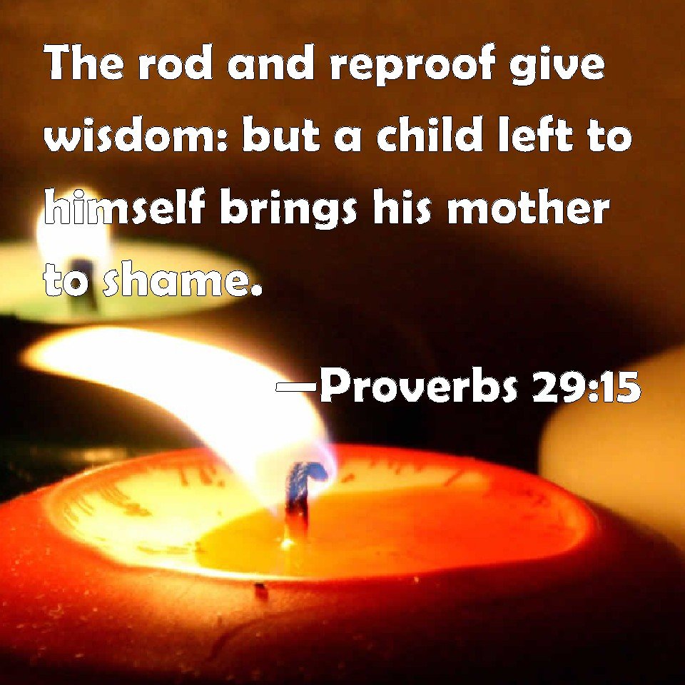 The Wisdom from the Rod and Reproof